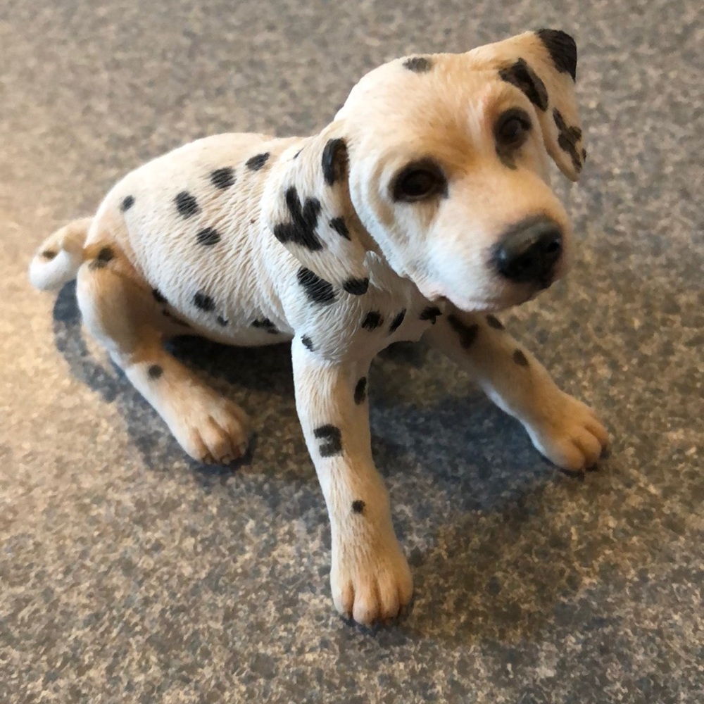 🤍 Dog decoration 🖤